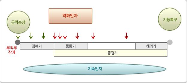 오십견의 병기